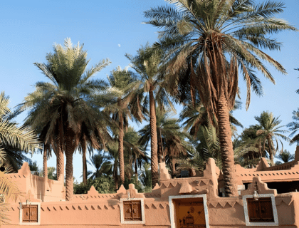 دراسة جدوى مشروع ريف في السعودية
